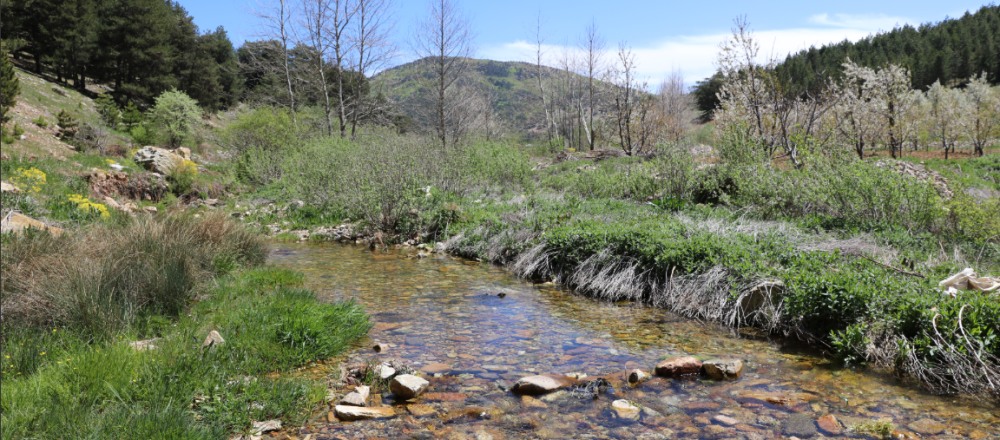 Gaziantep Huzurlu Tabiat Parkı Hakkında; Huzurlu Tabiat Parkı Nerede?