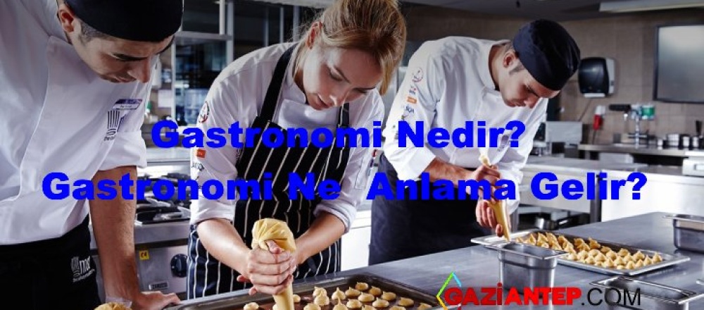 Gastronomi Nedir? Gastronomi Tarihi