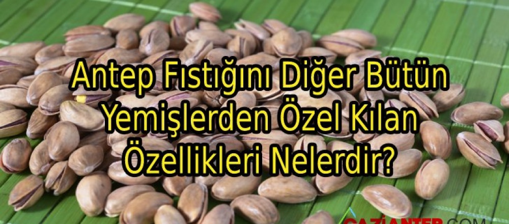 Antep Fıstığını Diğer Bütün Yemişlerden Özel Kılan Özellikleri Nelerdir?