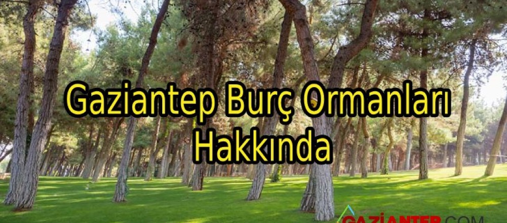 Gaziantep Burç Ormanları Hakkında