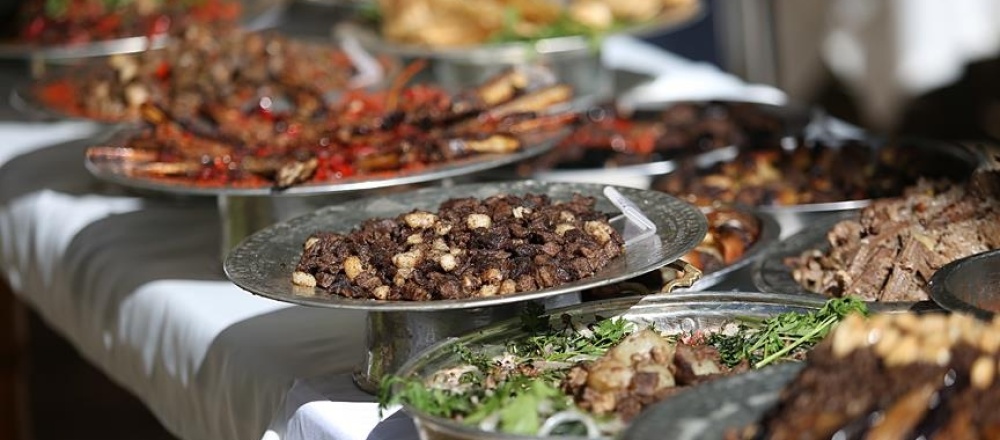 Gastronomi gelirimiz 5 milyar dolar olacak