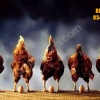 ÜRETİCİDEN 1. KAN ATAK-S LOHMAN TİNTED + ÇADIR YAPI