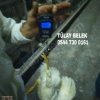 GAZİANTEP 16 HAFTALIK YUMURTA TAVUĞU TINTED AŞILARI TAM