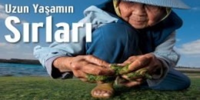 Daha Uzun Yaşamak İçin Yememiz Gereken 5 Yiyecek