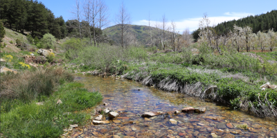 Gaziantep Huzurlu Tabiat Parkı Hakkında; Huzurlu Tabiat Parkı Nerede?