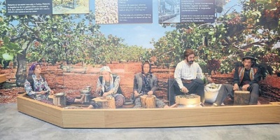 Meşhur Antep Fıstığının Anlatıldığı Fıstık Müzesi