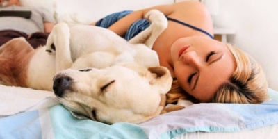 Köpeklerle Uyumak Erkeklerle Uyumaktan Daha İyi