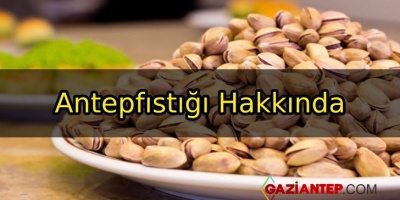 Antepfıstığı Hakkında
