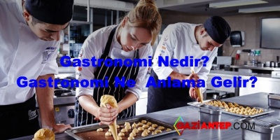 Gastronomi Nedir? Gastronomi Tarihi