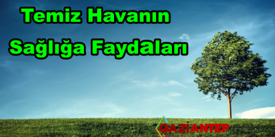 Temiz Hava Solumanın İnsan Sağlığına Faydaları