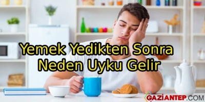 Yemek Yedikten Sonra Neden Uyku Gelir