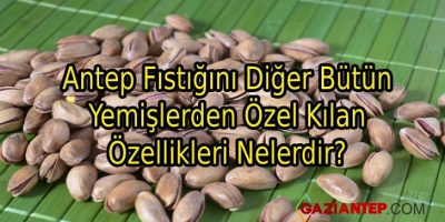 Antep Fıstığını Diğer Bütün Yemişlerden Özel Kılan Özellikleri Nelerdir?