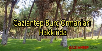 Gaziantep Burç Ormanları Hakkında