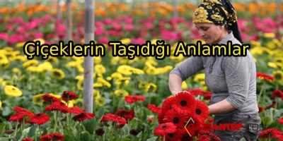 Çiçeklerin İlginç Anlamları