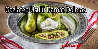 Gaziantep Usulu Damat Dolması