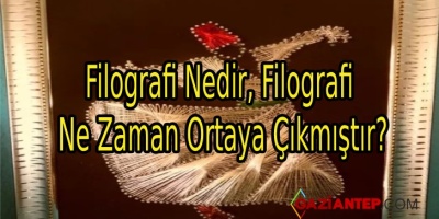 Filografi Nedir, Filografi Ne Zaman Ortaya Çıkmıştır?