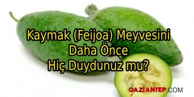 Kaymak (Feijoa) Meyvesini Daha Önce Hiç Duydunuz mu?