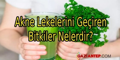 Akne Lekelerini Geçiren Bitkiler Nelerdir?