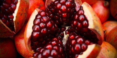 Kültür, Sanat, Nar ve Yöresel Kurutmalık Festivali