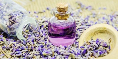 Lavanta Kürü Saç Sivilce Karaciğer Yağlanması