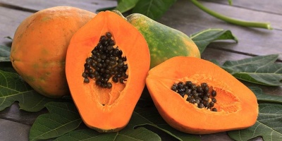 Papaya ve Faydaları