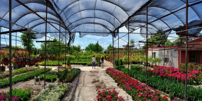 Çöpü dönüştürürken çiçek de yetiştiriyorlar