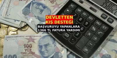 Devletten 1150 TL doğal gaz, 260 TL elektrik desteği