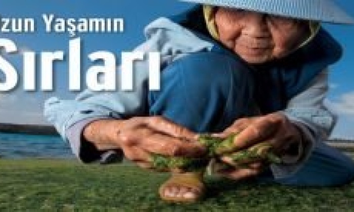 Daha Uzun Yaşamak İçin Yememiz Gereken 5 Yiyecek