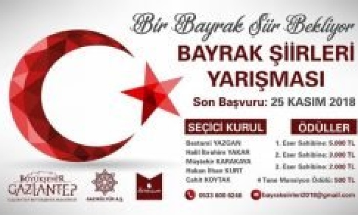 Bir Bayrak Şiir Bekliyor