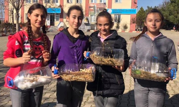 Kuşlar artık ‘merhamet yuvalarında’ üşümeyecek