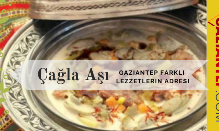 GAZİANTEP: ÇAĞLA AŞI