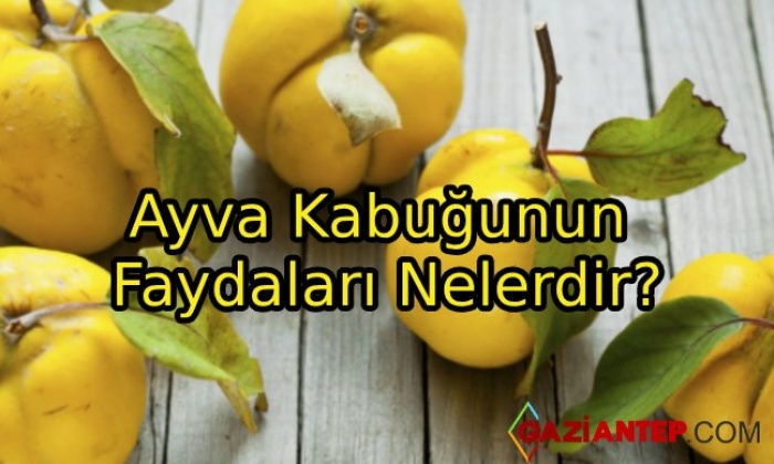 Ayva Kabuğunun Faydaları Nelerdir?