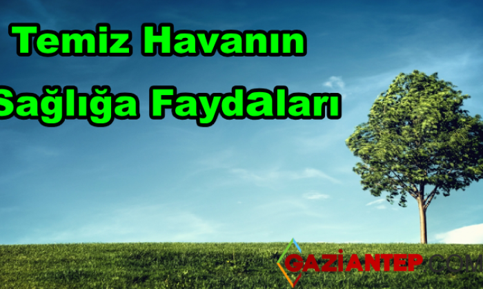Temiz Havanın Faydaları