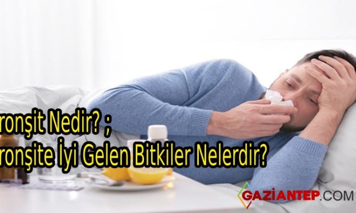 Bronşit Nedir? – Bronşite İyi Gelen Bitkiler Nelerdir?