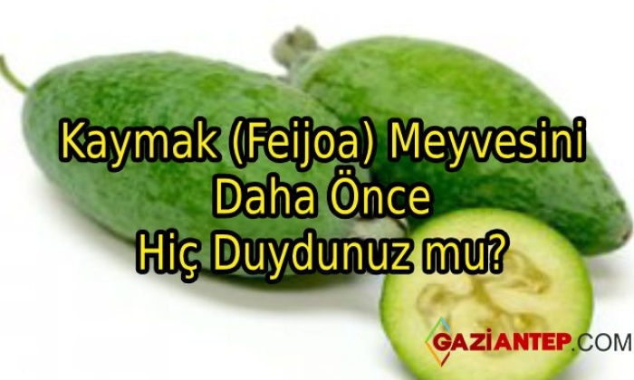 Kaymak (Feijoa) Meyvesini Daha Önce Hiç Duydunuz mu?