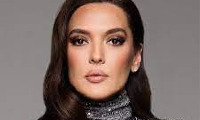 Demet Akalın konserleri