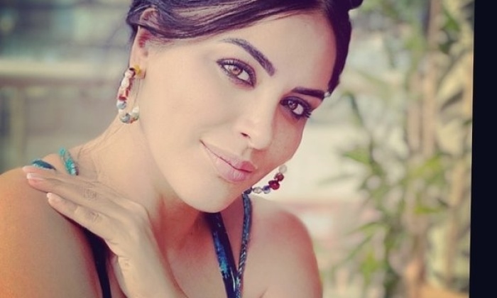 Zara konserleri