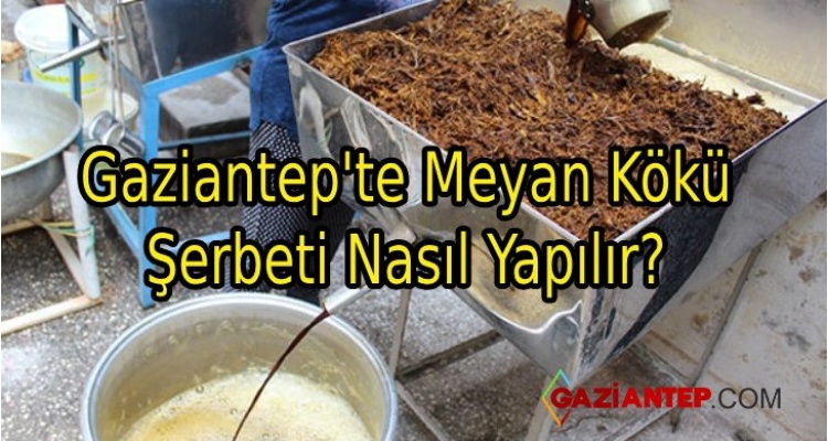 gaziantep te meyan koku serbeti nasil yapilir biantep com
