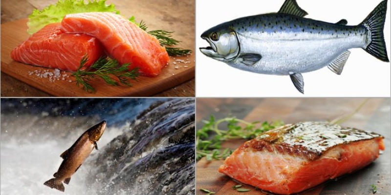 Somon Balığının Faydaları