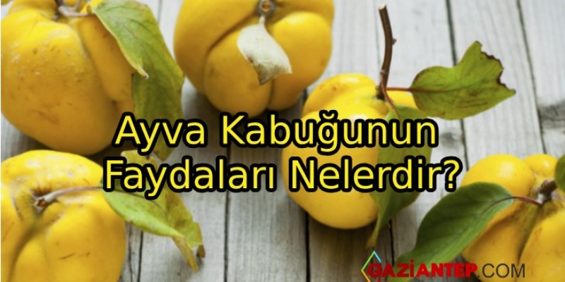 Ayva Kabuğunun Faydaları Nelerdir?