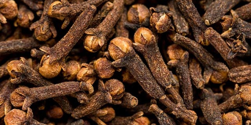 Karanfilin Faydaları