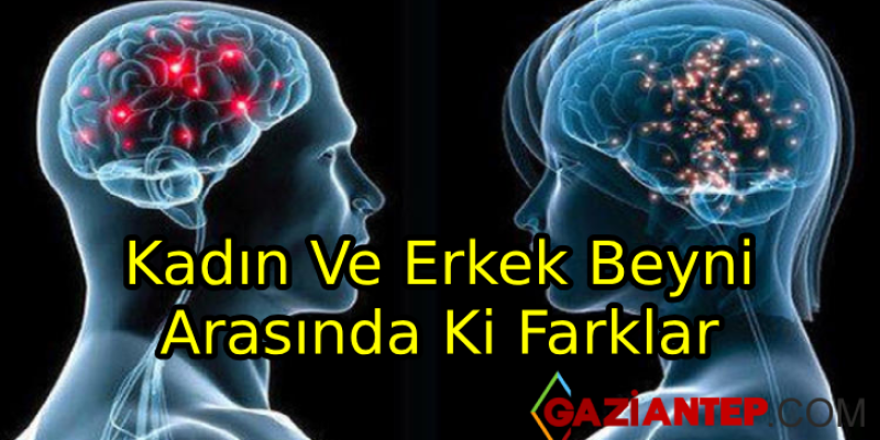 Kadın ve Erkek Beyni Arasındaki Farklar