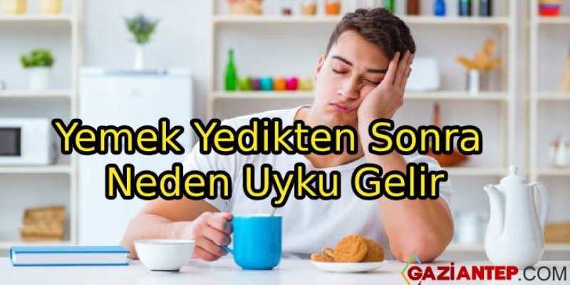 Yemek Yedikten Sonra Neden Uyku Gelir