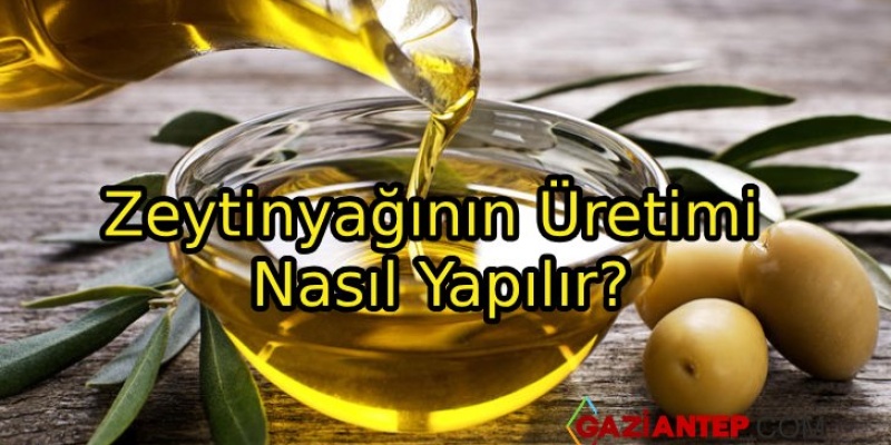 Zeytinyağının Üretimi Nasıl Yapılır?