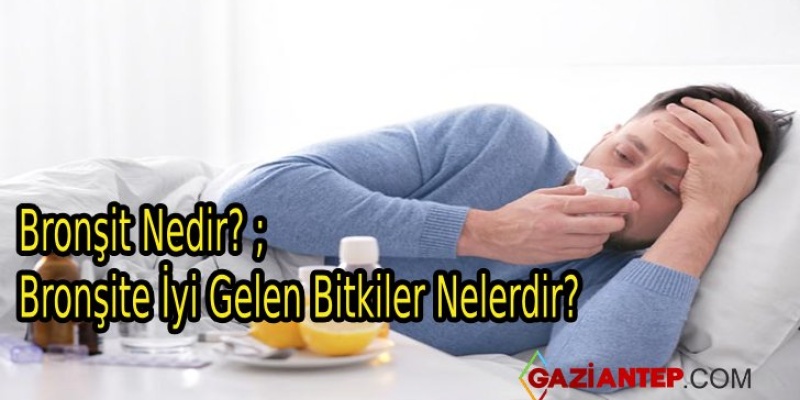 Bronşit Nedir? – Bronşite İyi Gelen Bitkiler Nelerdir?