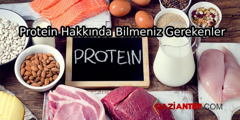 Protein Hakkında Bilgiler