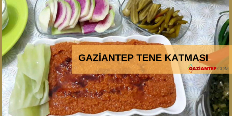 GAZİANTEP: TENE KATMASI