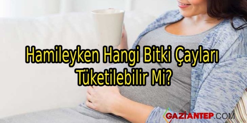 Hamileyken Hangi Bitki Çayları Tüketilebilir Mi?