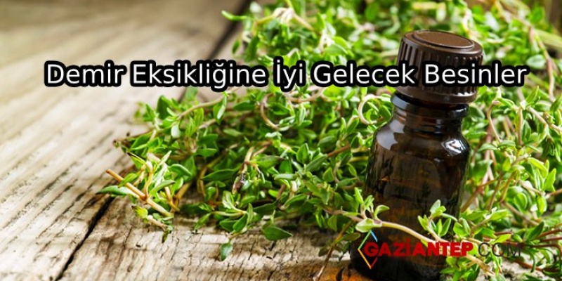 Demir Eksikliğini Önleyecek Besinler