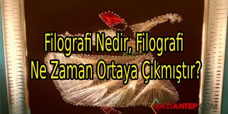 Filografi Nedir, Filografi Ne Zaman Ortaya Çıkmıştır?